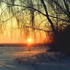 photo "Winter rise - 5"