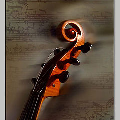 photo "P R E L U D E /VIOLA DA GAMBA/"