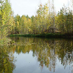 photo "Taiga Lake"