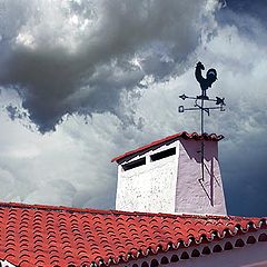 фото "Against the Wind"