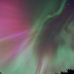 photo "The polar lights in St-Petersburg"