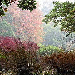 photo "The Moscow fall 2002. Smoky morning."