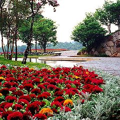 photo "Flowery Path"