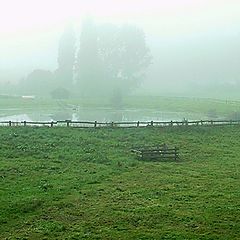 photo "Pond in a misty morning"