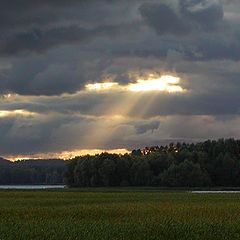 фото "Зарисовка с охоты"