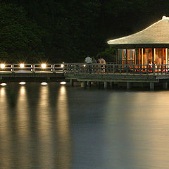 photo "Reflection of the teahouse in the old Imperial par"