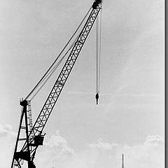 photo "Lonely Crane"