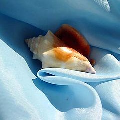 фото "Longing For The Ocean"