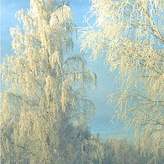 photo "Strong frost"