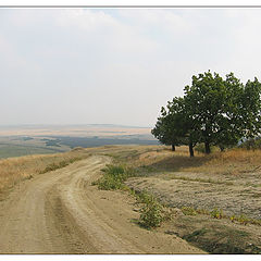 фото "Донские дали"