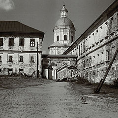 photo "Nilova Pustyn"