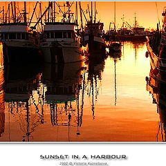 photo "Sunset in a harbour- 9"