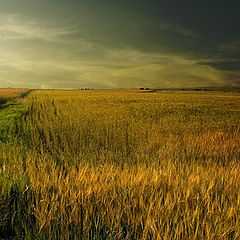 photo "Bohemian Landscape"