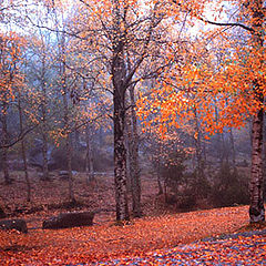 photo "The Coulor Fall Down On The Mountains."