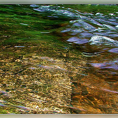 photo "Melody. Magic of water-8"