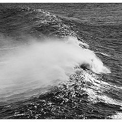 photo "Portrait of a wave"