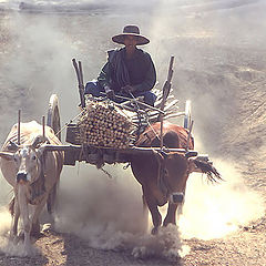 photo "Dusty Job"