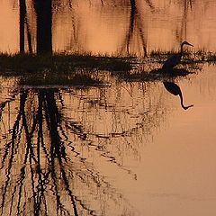 photo "Sunset Fishing"