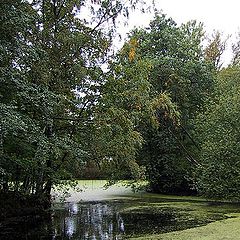 photo "Old pond"