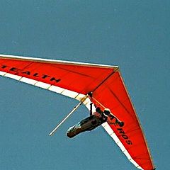 фото "Fly like a bird"