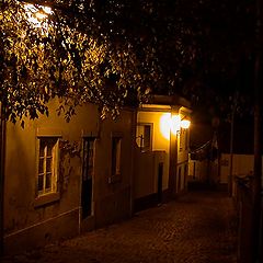 photo "Sleeping alley"