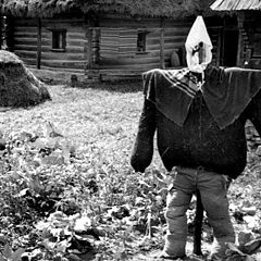 photo "Scarecrow"