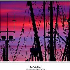 photo "Masts"