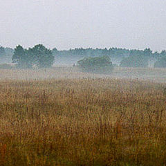 photo "Foggy morning"