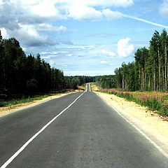 фото "Дорога на Север"