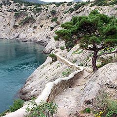 photo "Novy Svet, Crimea"