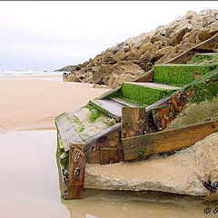 photo "Slippery Stairway"