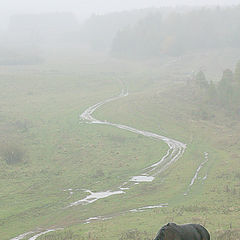 фото "Дождливо"