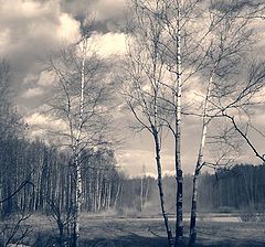 photo "Typical Russian Landscape"