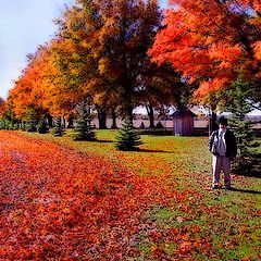 photo "Past autumn"