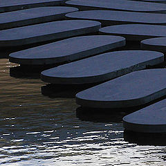 photo "Aquatic domino"