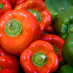 photo "Red & Green Peppers"