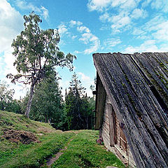 photo "solovki. diagonals"