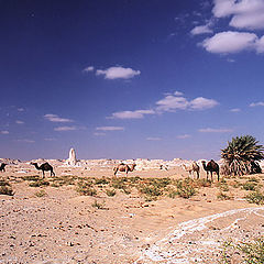 photo "Desert Scape #1"