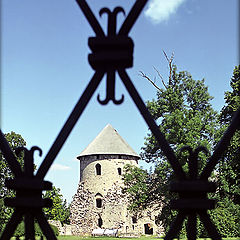 photo "Behind a fencing"