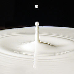 photo "Milk Drop"