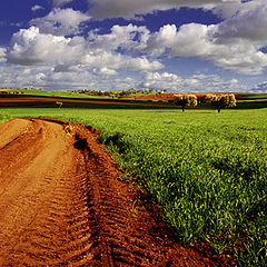 фото "Spring daybreak - Alentejo, Portugal"