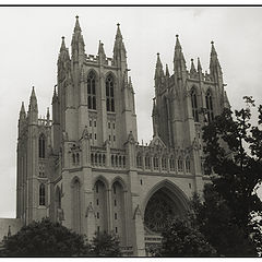 photo "Washington National Cathedral"