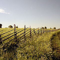 photo "Kizhi. It is dear along a field."