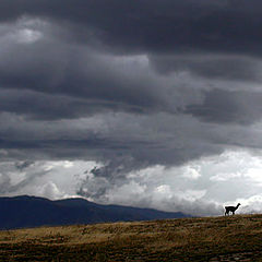 photo "Ecuador"