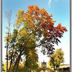 photo "Autumn etude"