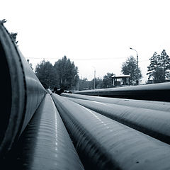 photo "Resting Tubes"