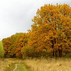 фото "Цвет осени 2"