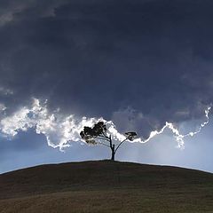 фото "Befor the sturm"