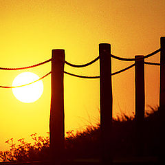 фото ""Hanging sun""