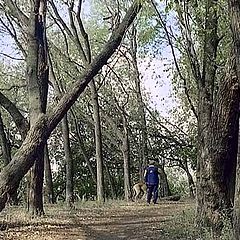 photo "Walking with a Dog"